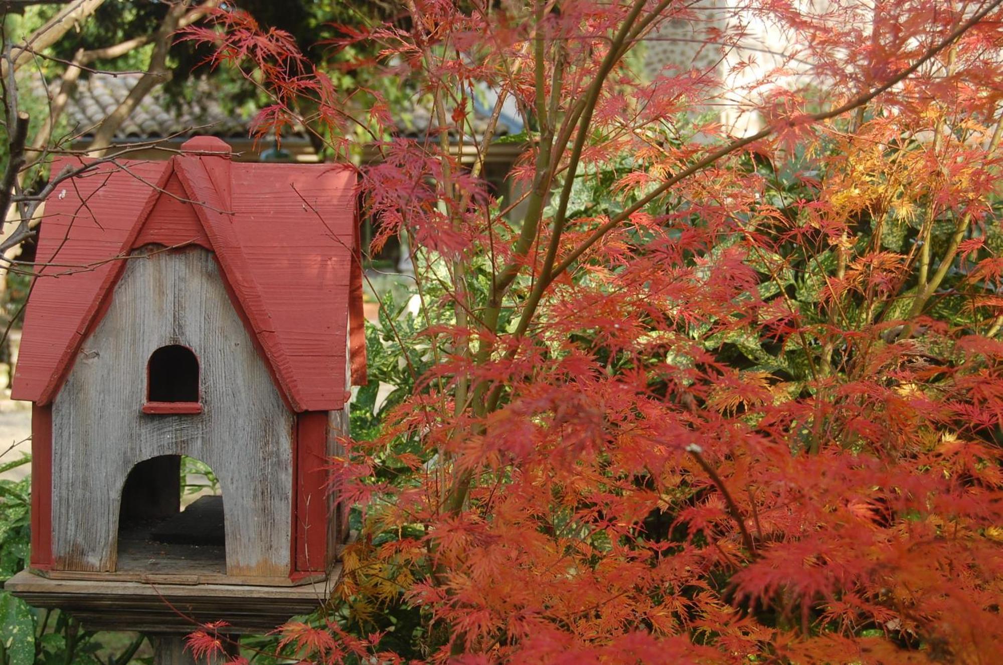 Le Mas Des Clots Bed & Breakfast Upie Exterior foto