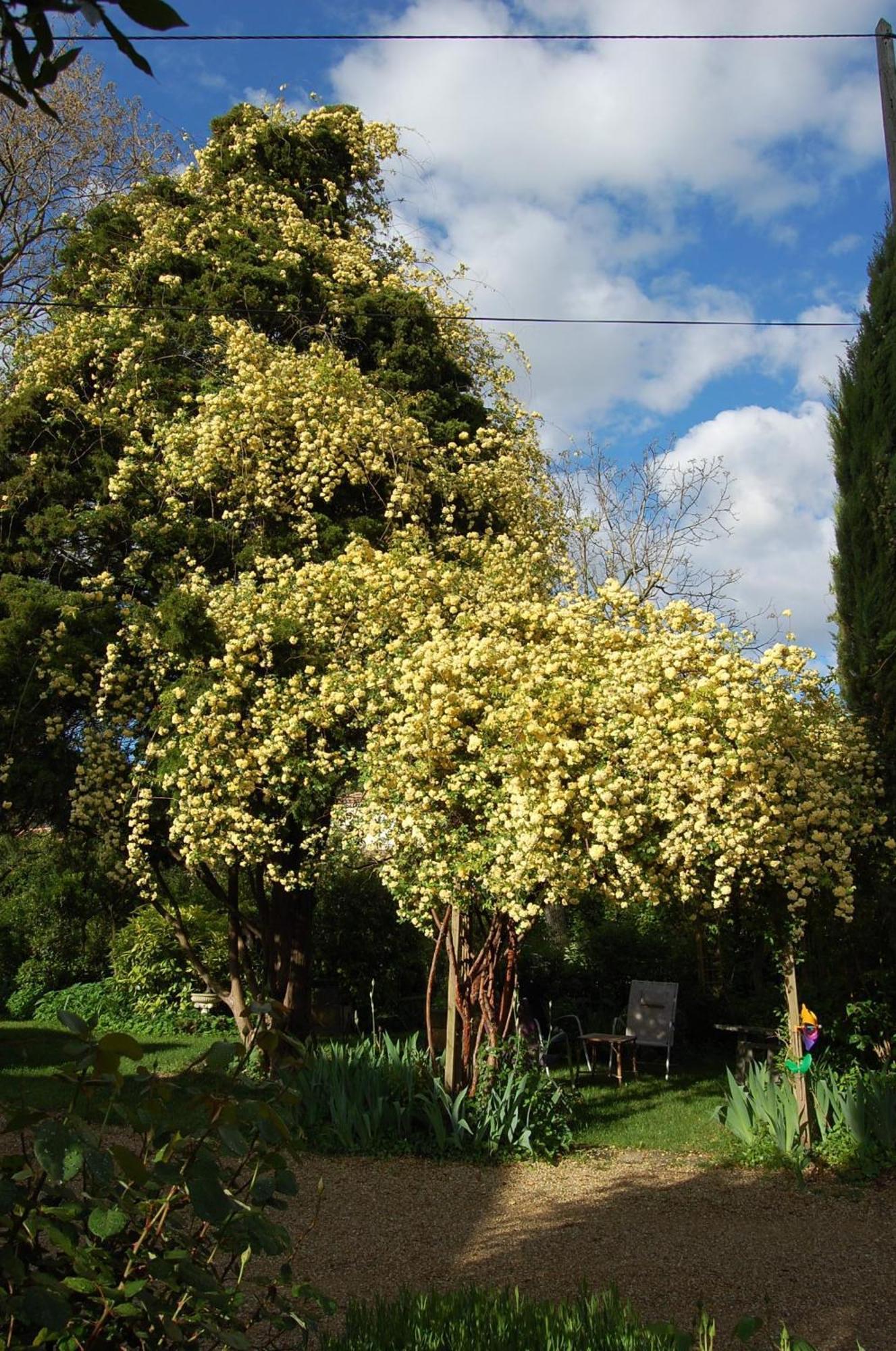 Le Mas Des Clots Bed & Breakfast Upie Exterior foto