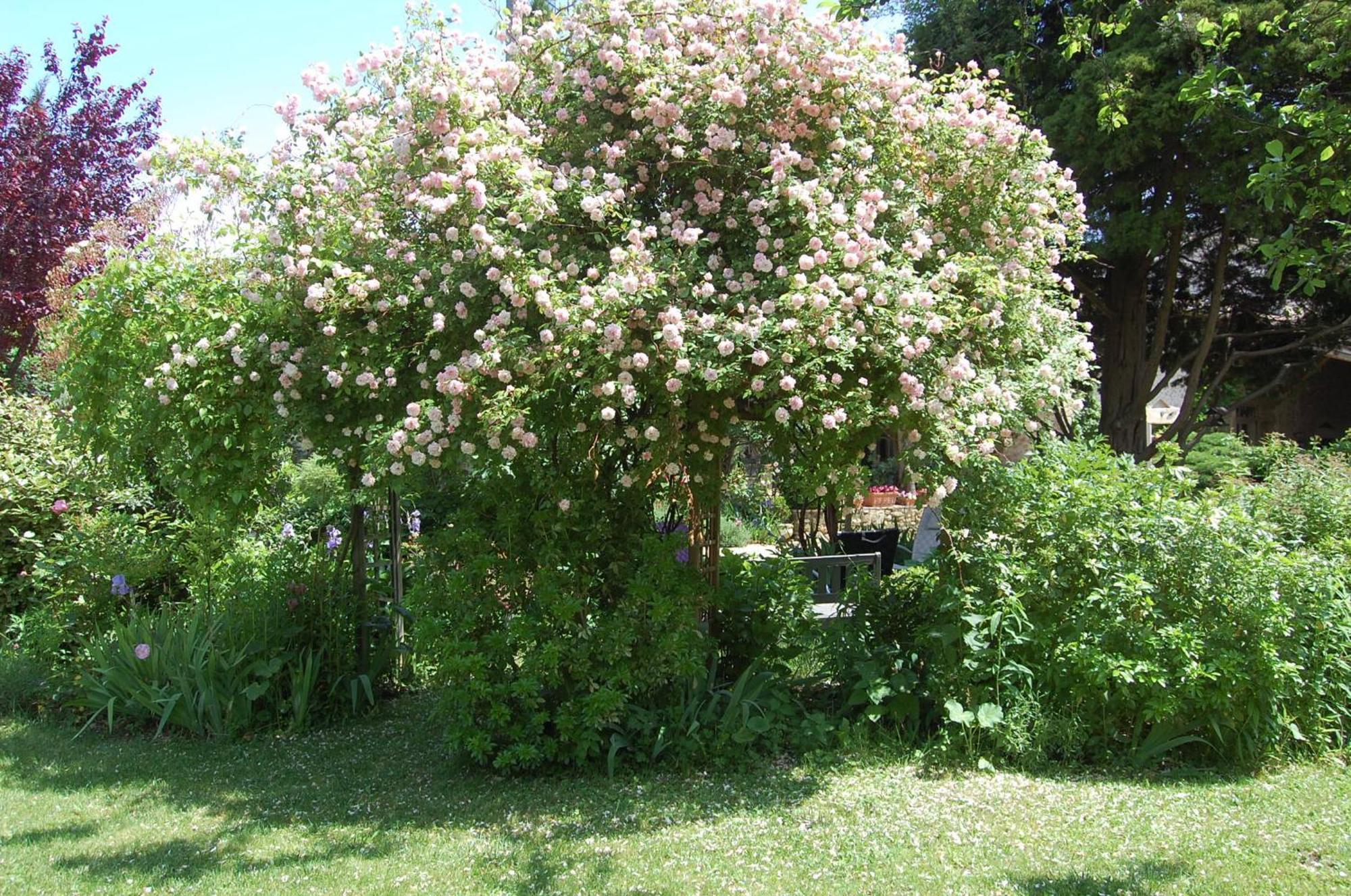 Le Mas Des Clots Bed & Breakfast Upie Exterior foto